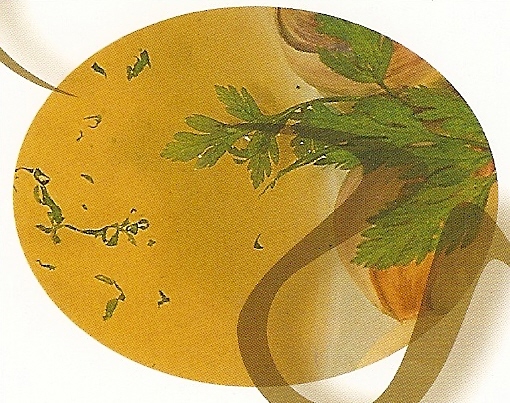 Image Bouillon de légumes en poudre partiellement dégraissé